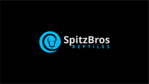 Logo Design by Indra Putra for this project | Design: #27555978
