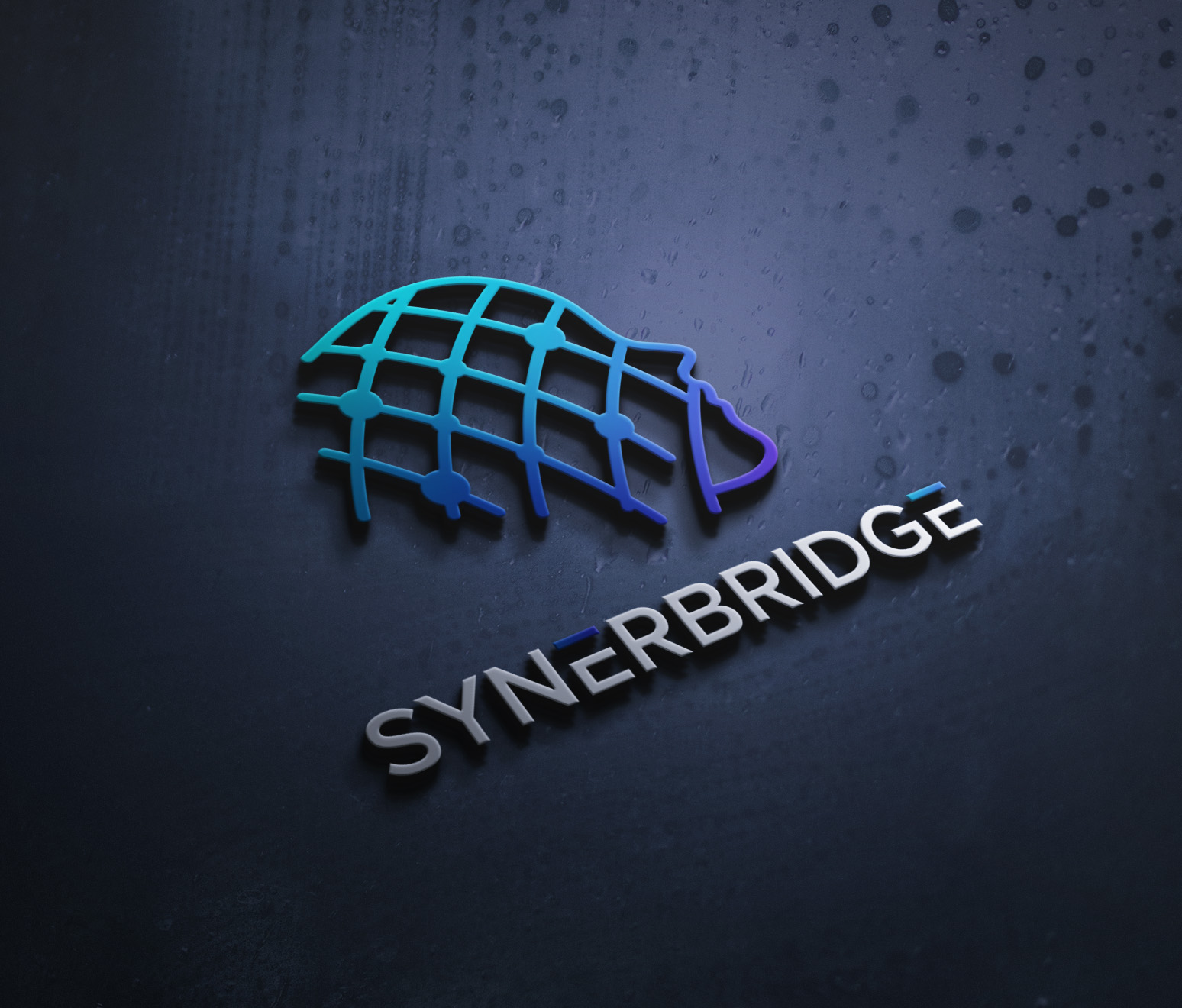 Logo Design by 4tech services for this project | Design #27554039
