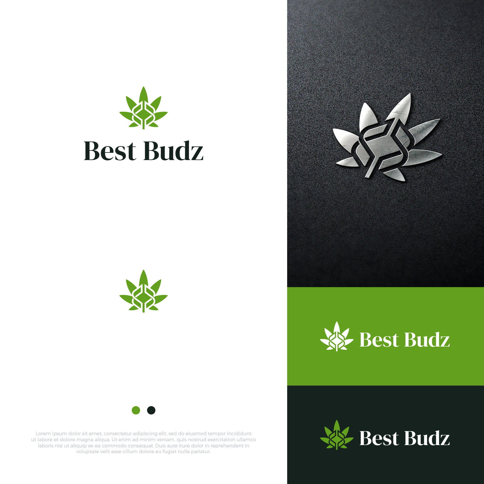 Logo Design by airborne for this project | Design #27564777