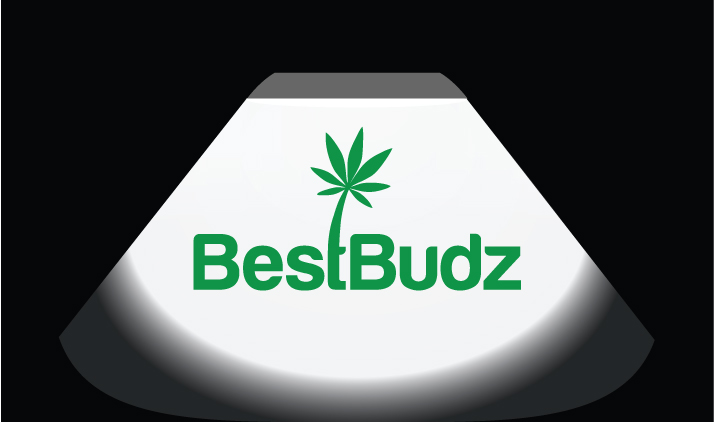 Logo Design by FireflyArt for this project | Design #27570966