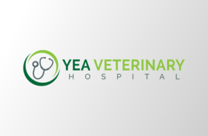 Logo Design by miloje1207
