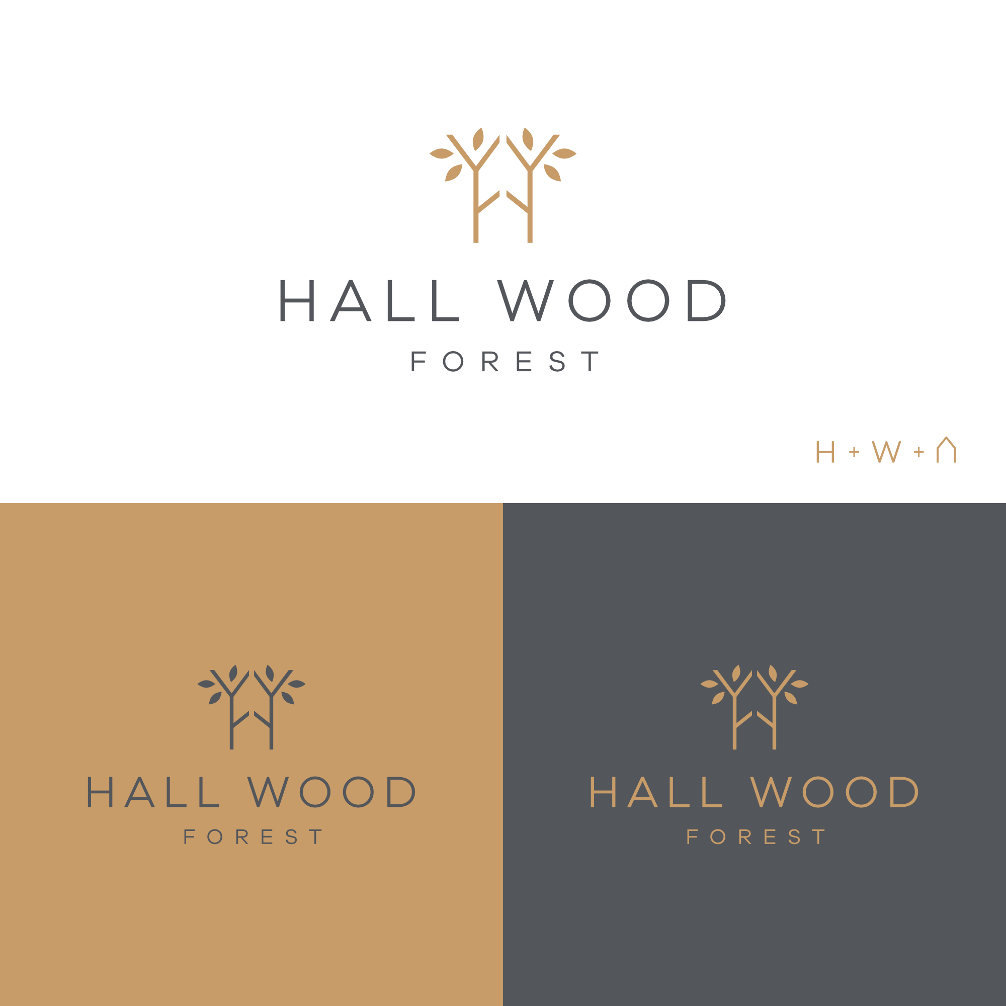 Logo Design by EspadaDesign for this project | Design #27637378