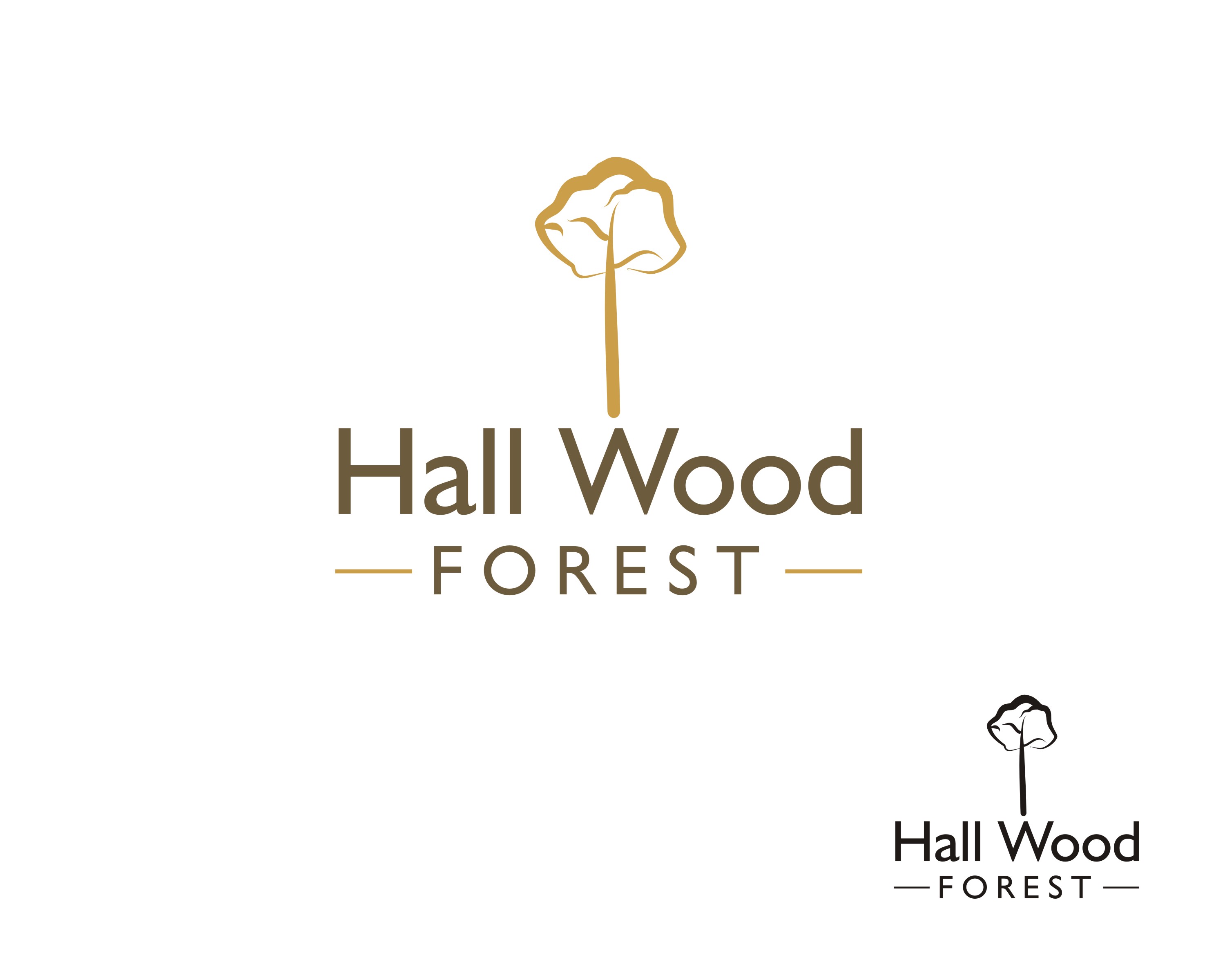 Logo Design by Falguni for this project | Design #27662130