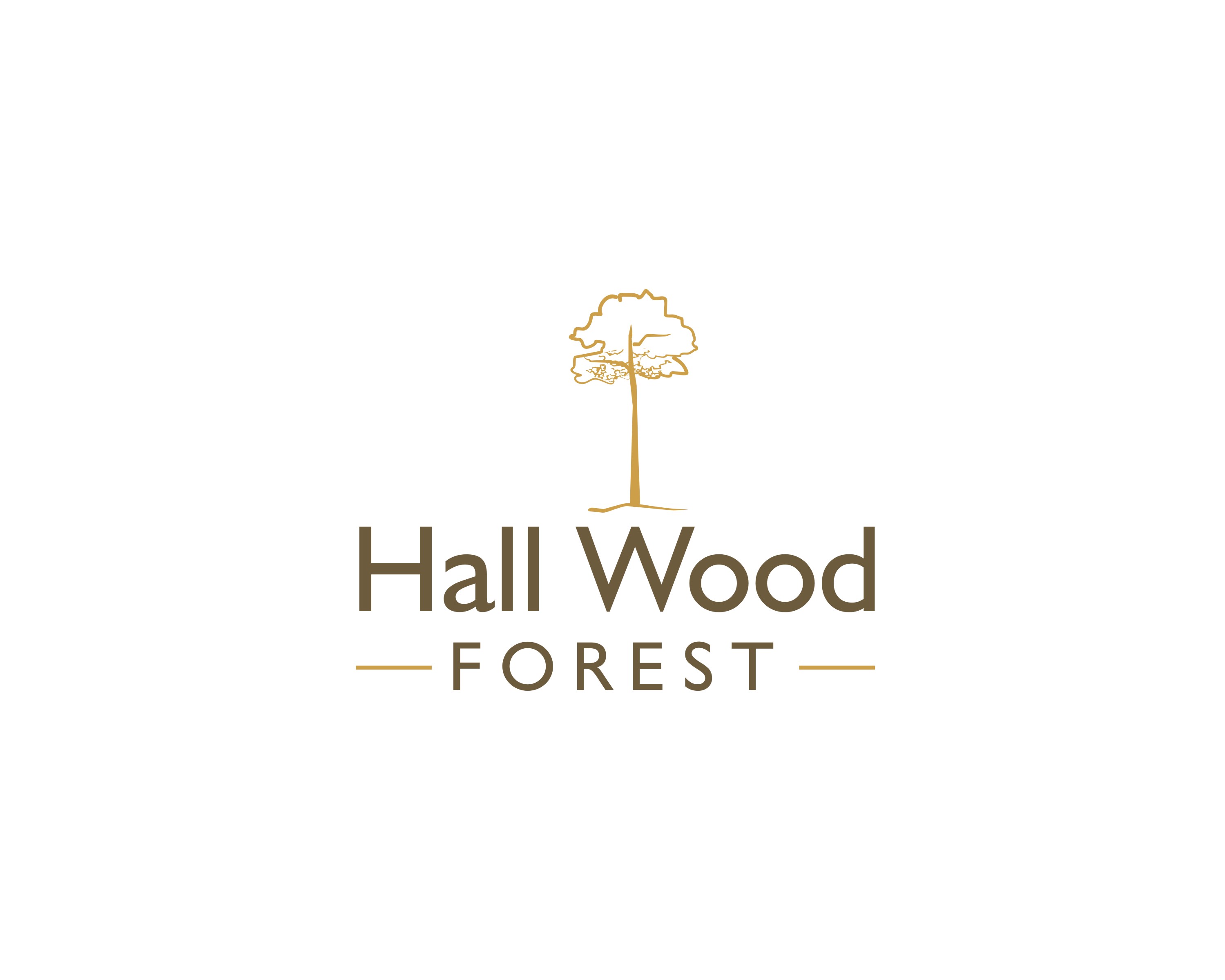 Logo Design by Falguni for this project | Design #27662301