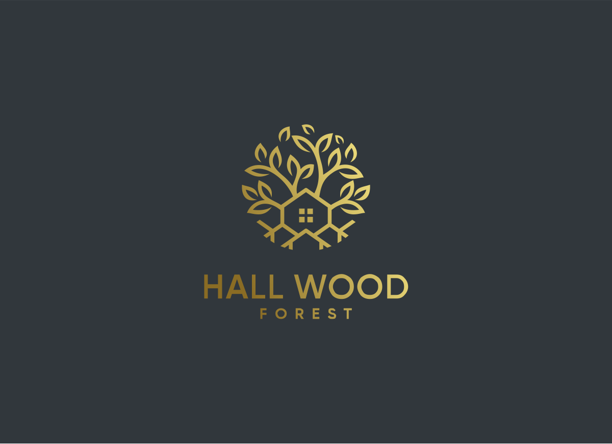 Logo Design by ccntdsgn for this project | Design #27640871