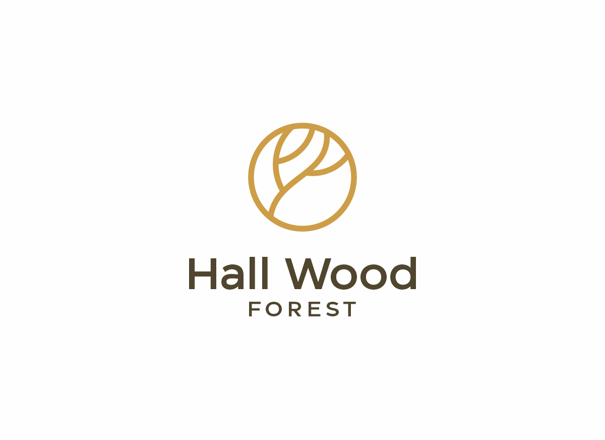 Logo Design by ccntdsgn for this project | Design #27641170