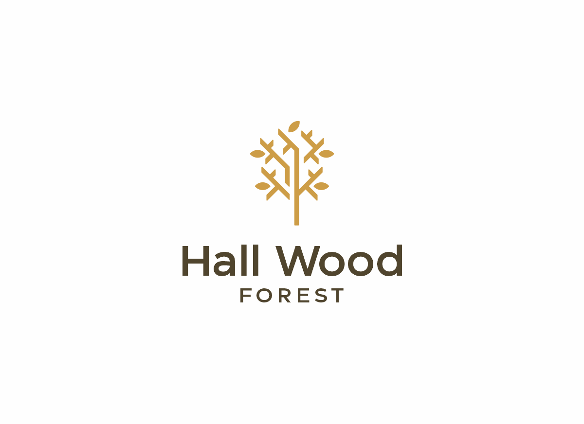 Logo Design by ccntdsgn for this project | Design #27641320