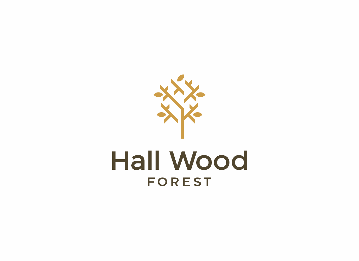 Logo Design by ccntdsgn for this project | Design #27644678