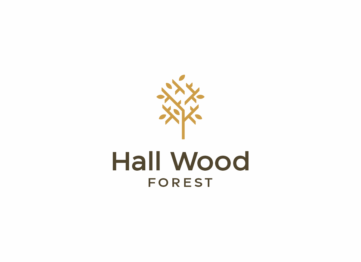 Logo Design by ccntdsgn for this project | Design #27644758