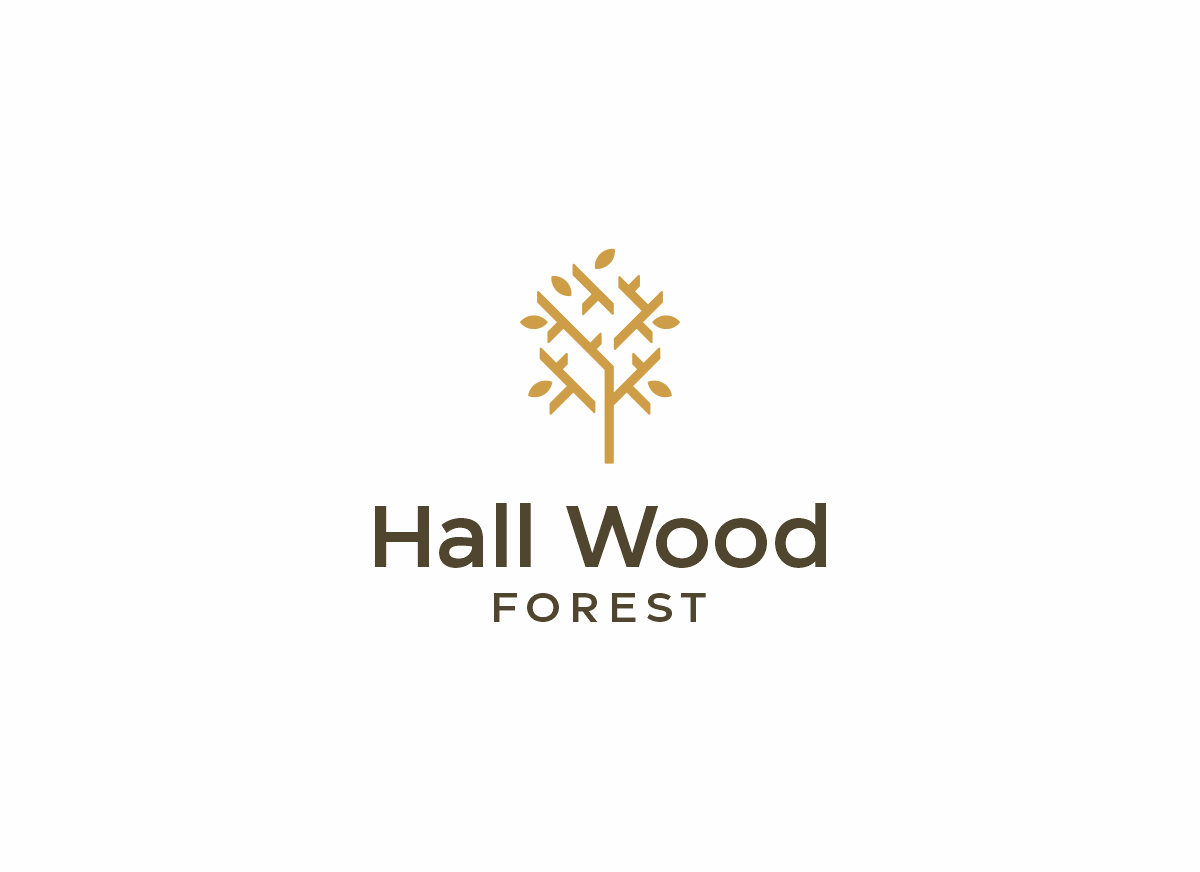 Logo Design by ccntdsgn for this project | Design #27644778