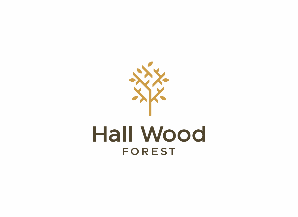 Logo Design by ccntdsgn for this project | Design #27646305