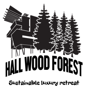 Logo Design by katan_designs