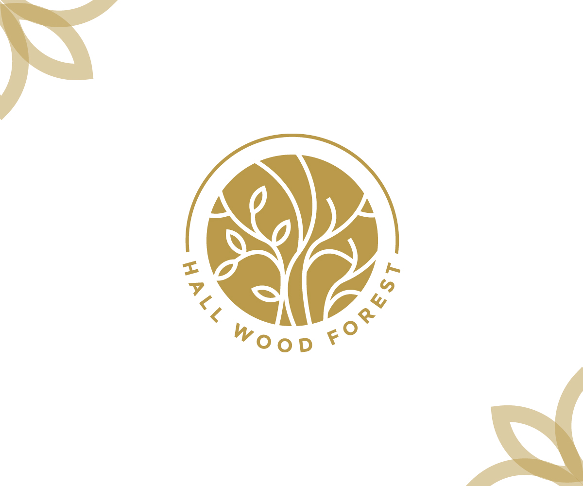 Diseño de Logo por Chus para este proyecto | Diseño #27636345