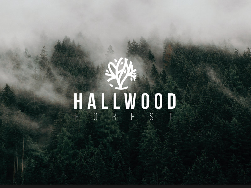 Logo-Design von Tilya für dieses Projekt | Design #27632475