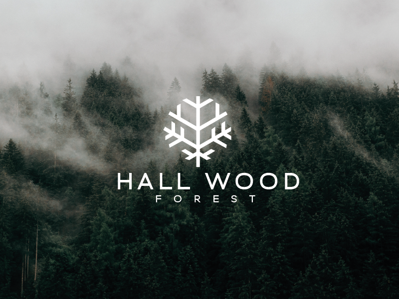 Logo Design by Tilya for this project | Design #27632487