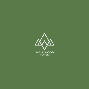 Logo Design by anshtoyj for this project | Design: #27567729
