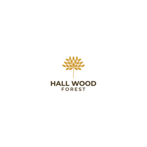 Logo Design by anshtoyj for this project | Design: #27623029