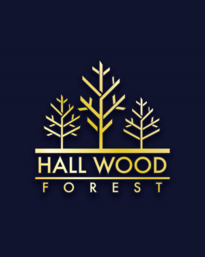 Logo Design by EnriqueF