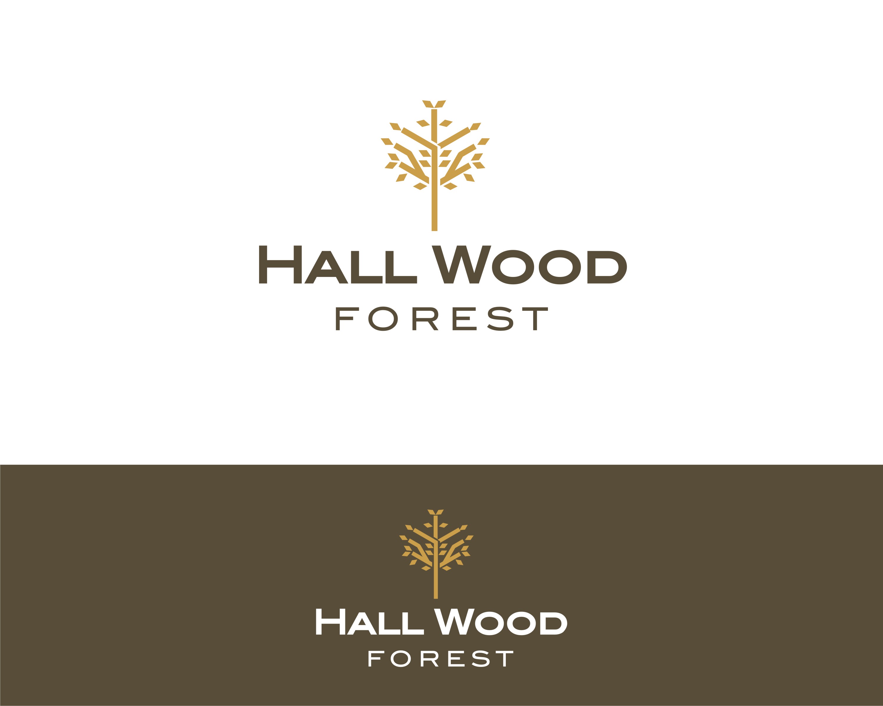 Logo Design by SUNEEEEEL for this project | Design #27625416