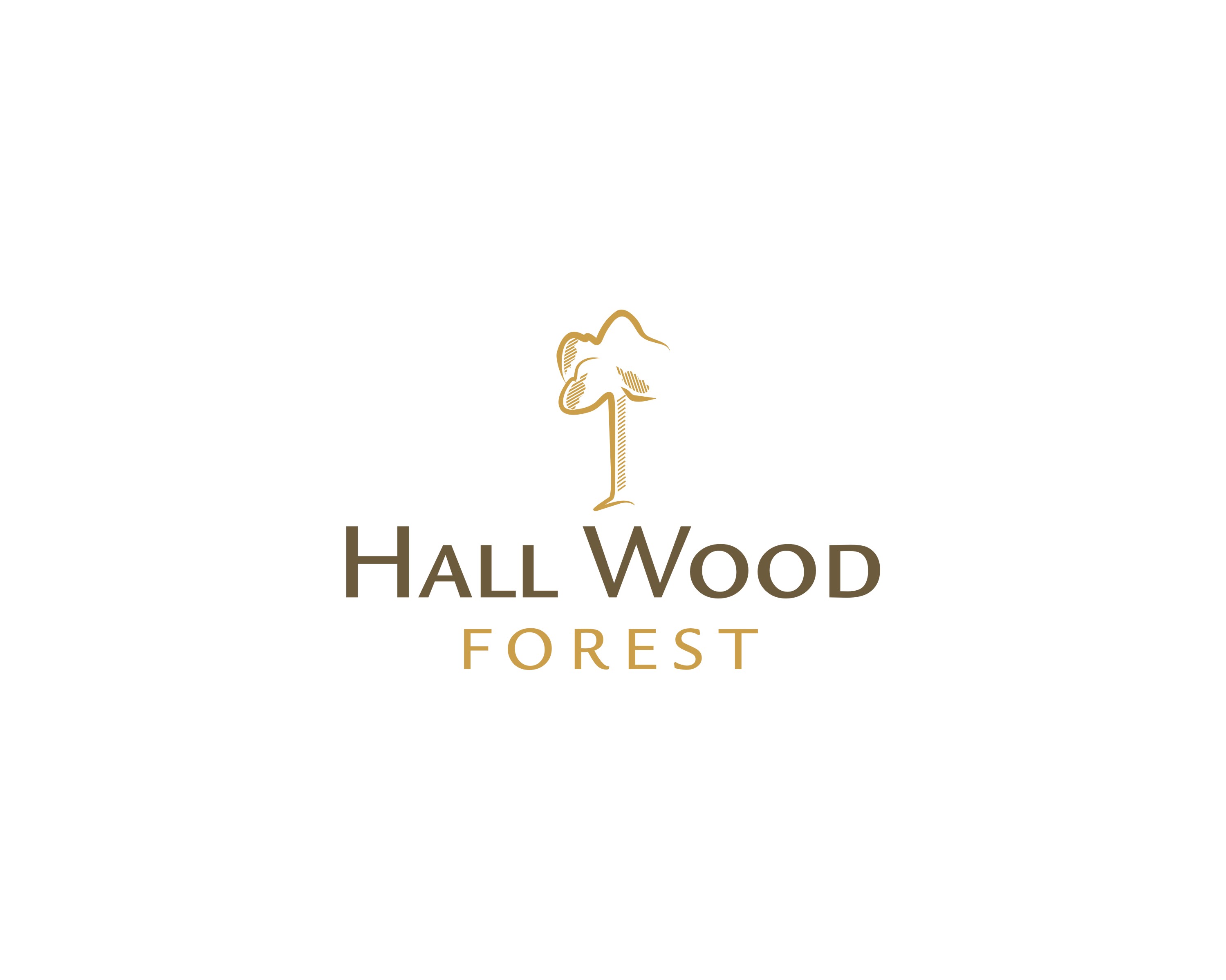 Logo Design by SUNEEEEEL for this project | Design #27648958