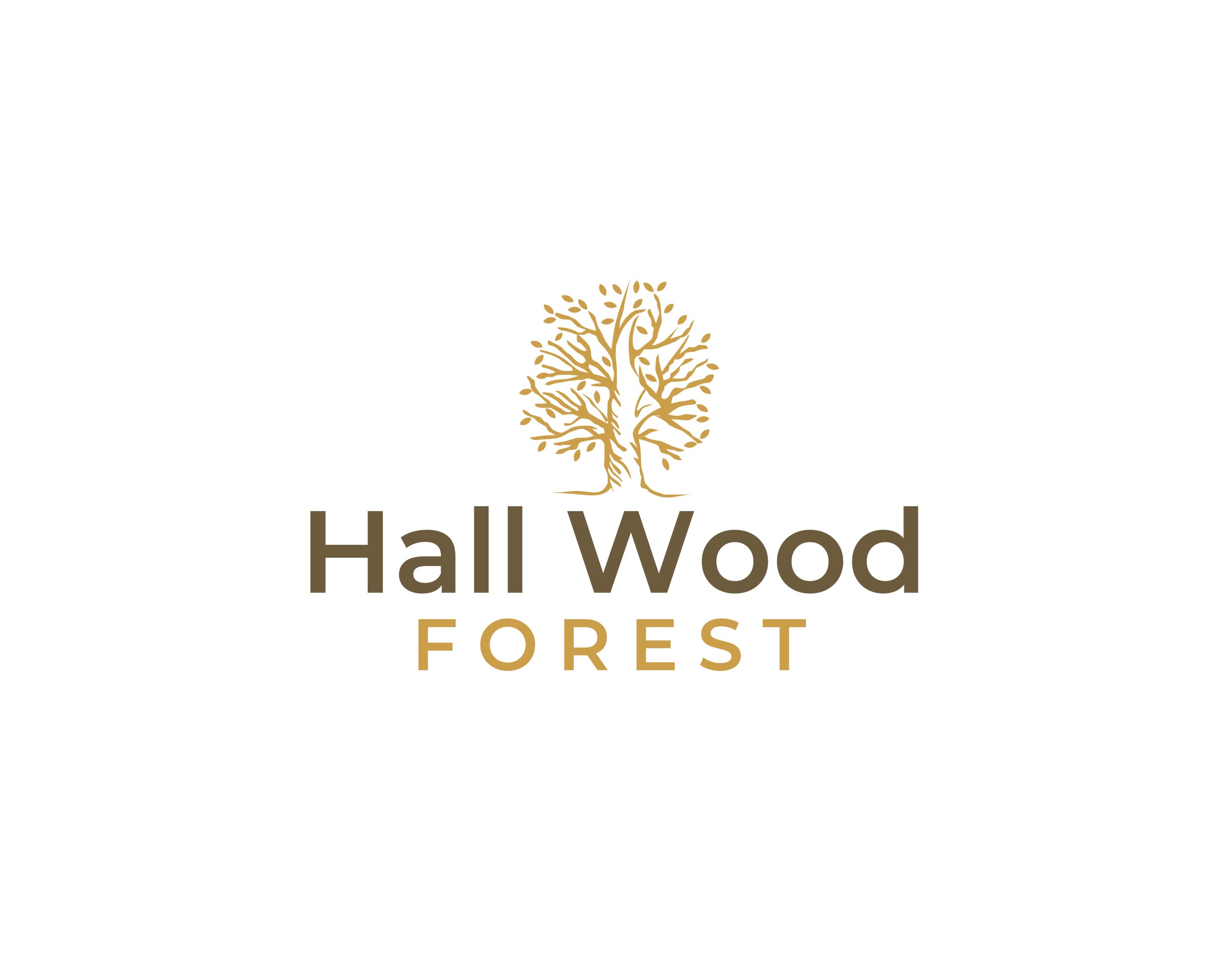 Logo Design by SUNEEEEEL for this project | Design #27650334