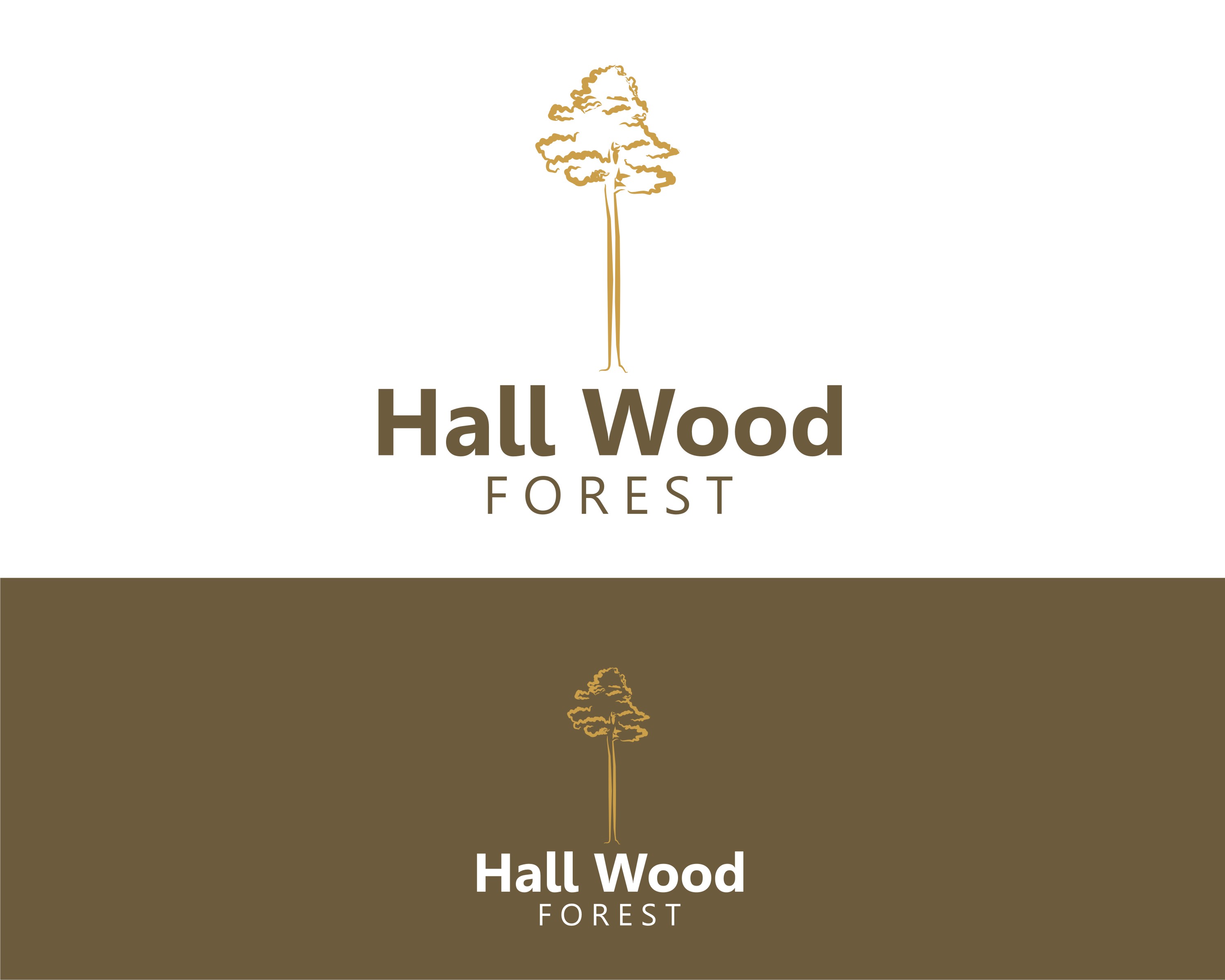 Design de Logo par SUNEEEEEL pour ce projet | Design #27661917