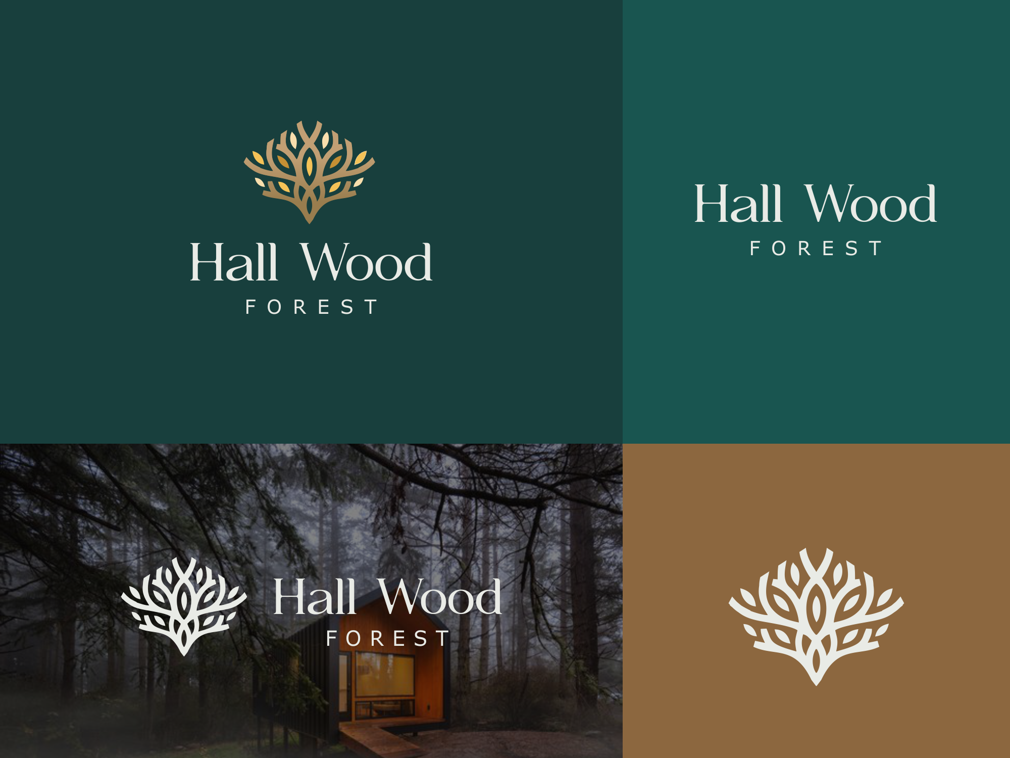 Design de Logo par Silverfox Studio pour ce projet | Design #27652332