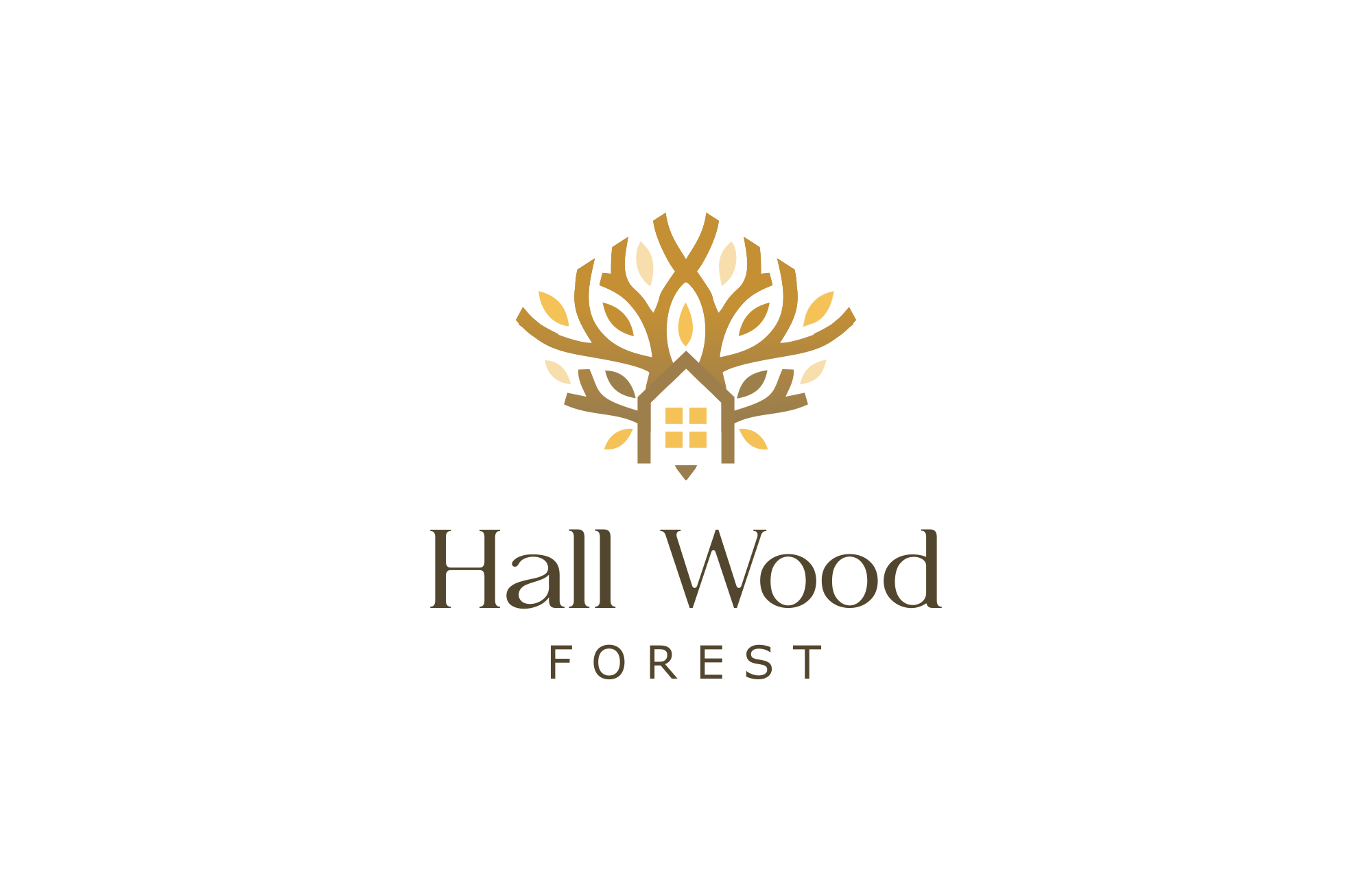 Logo Design by Silverfox Studio for this project | Design #27652509