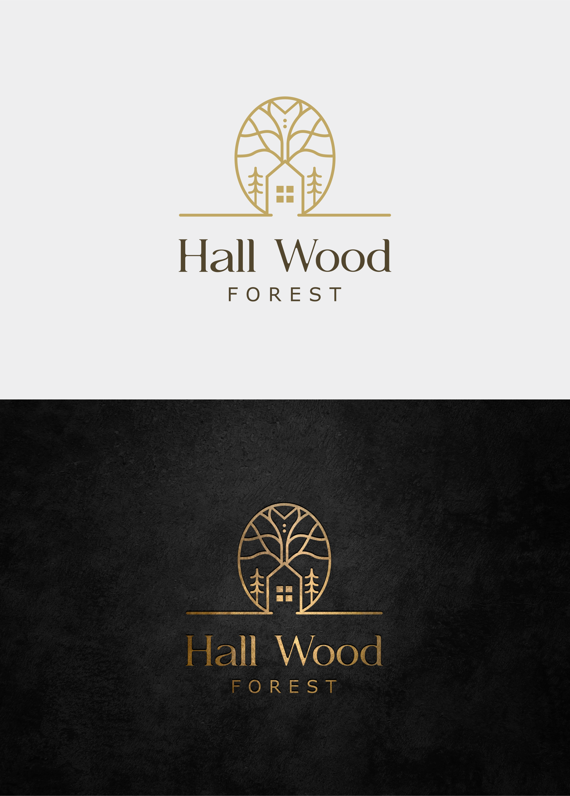 Logo Design by Silverfox Studio for this project | Design #27652633