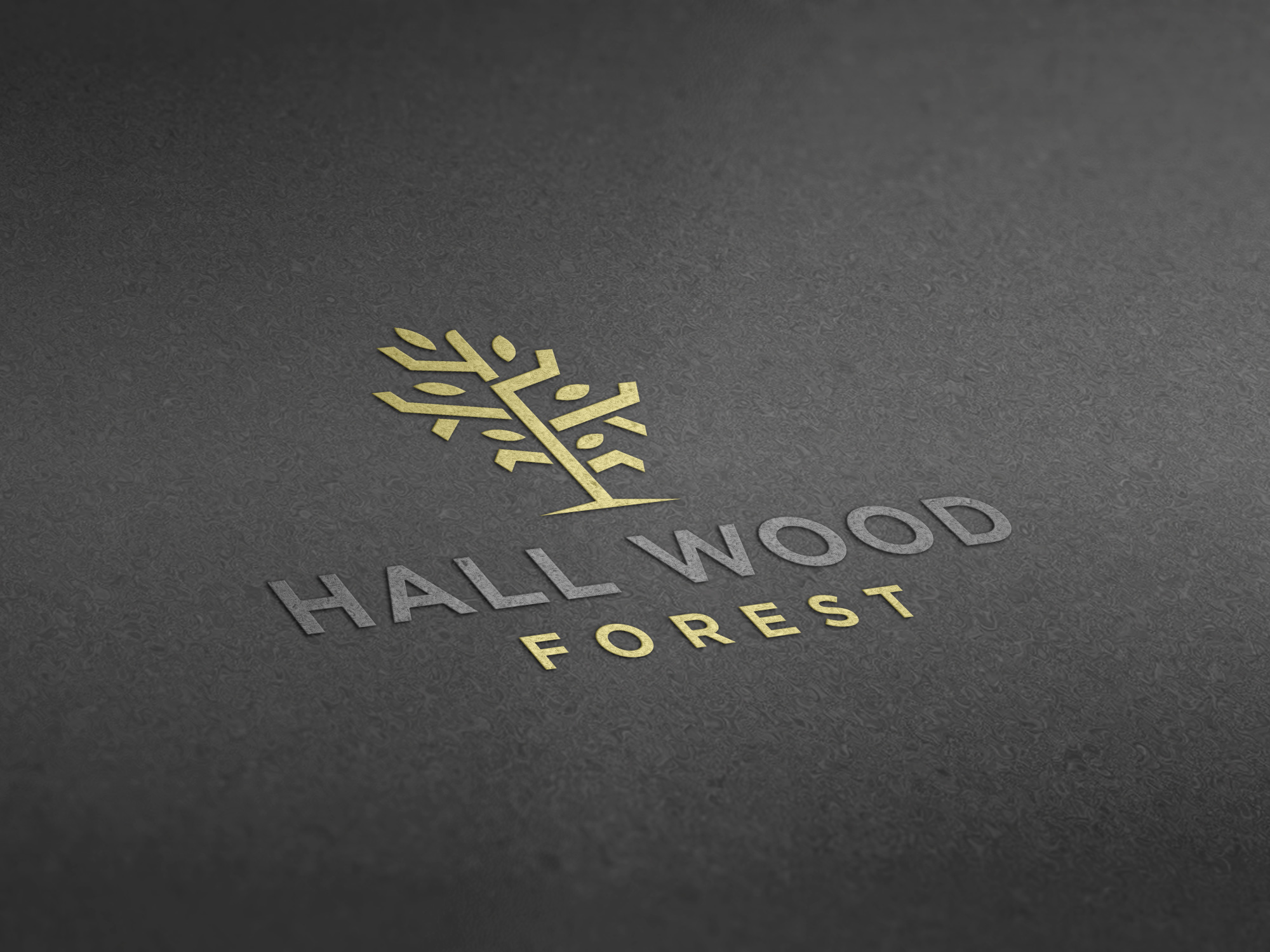 Logo Design by MAWBM for this project | Design #27618810