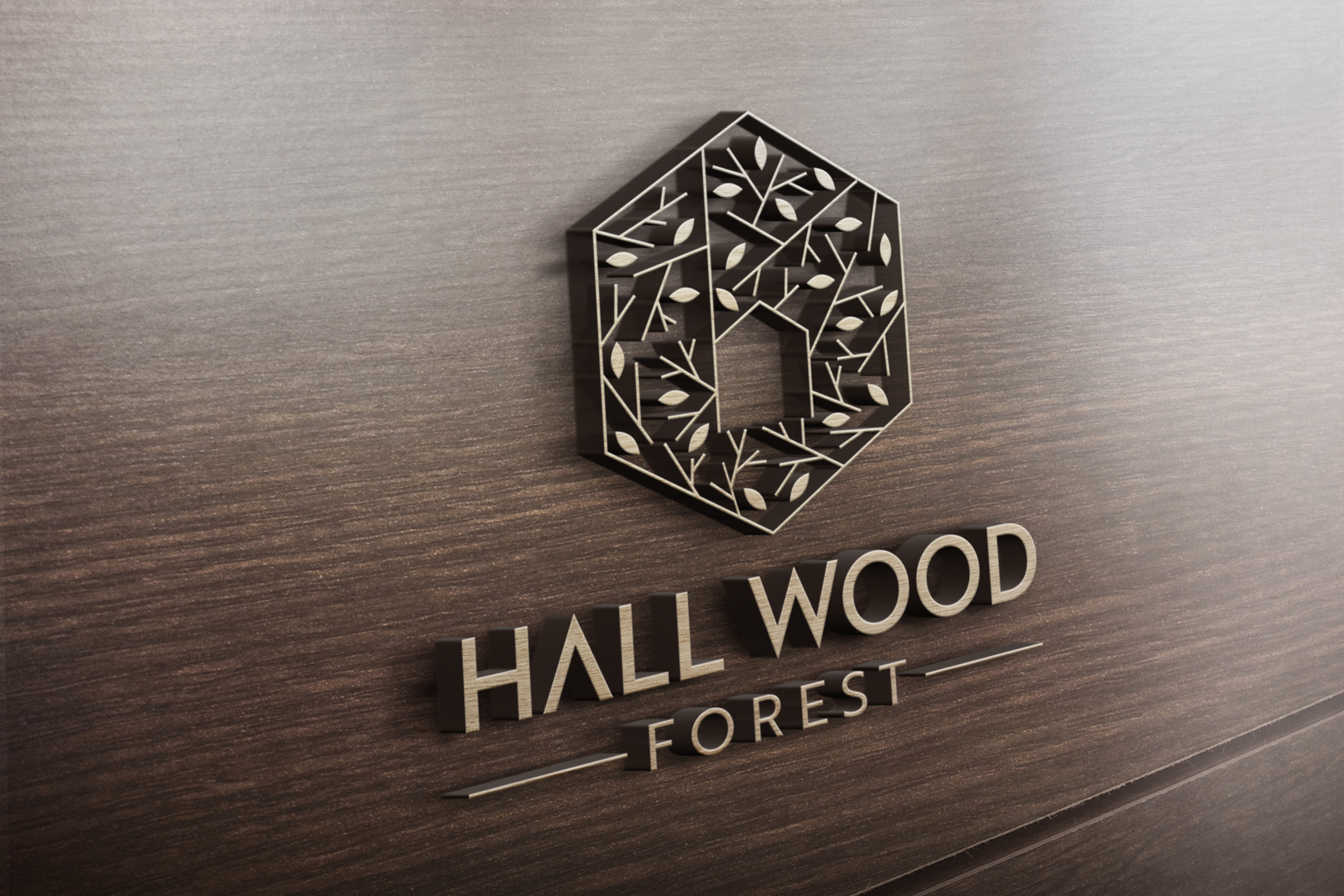 Logo Design by Obi.K for this project | Design #27646270