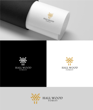 Logo Design by diasfebim for this project | Design: #27620147