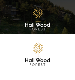 Logo Design by Pankaj Bordoloi