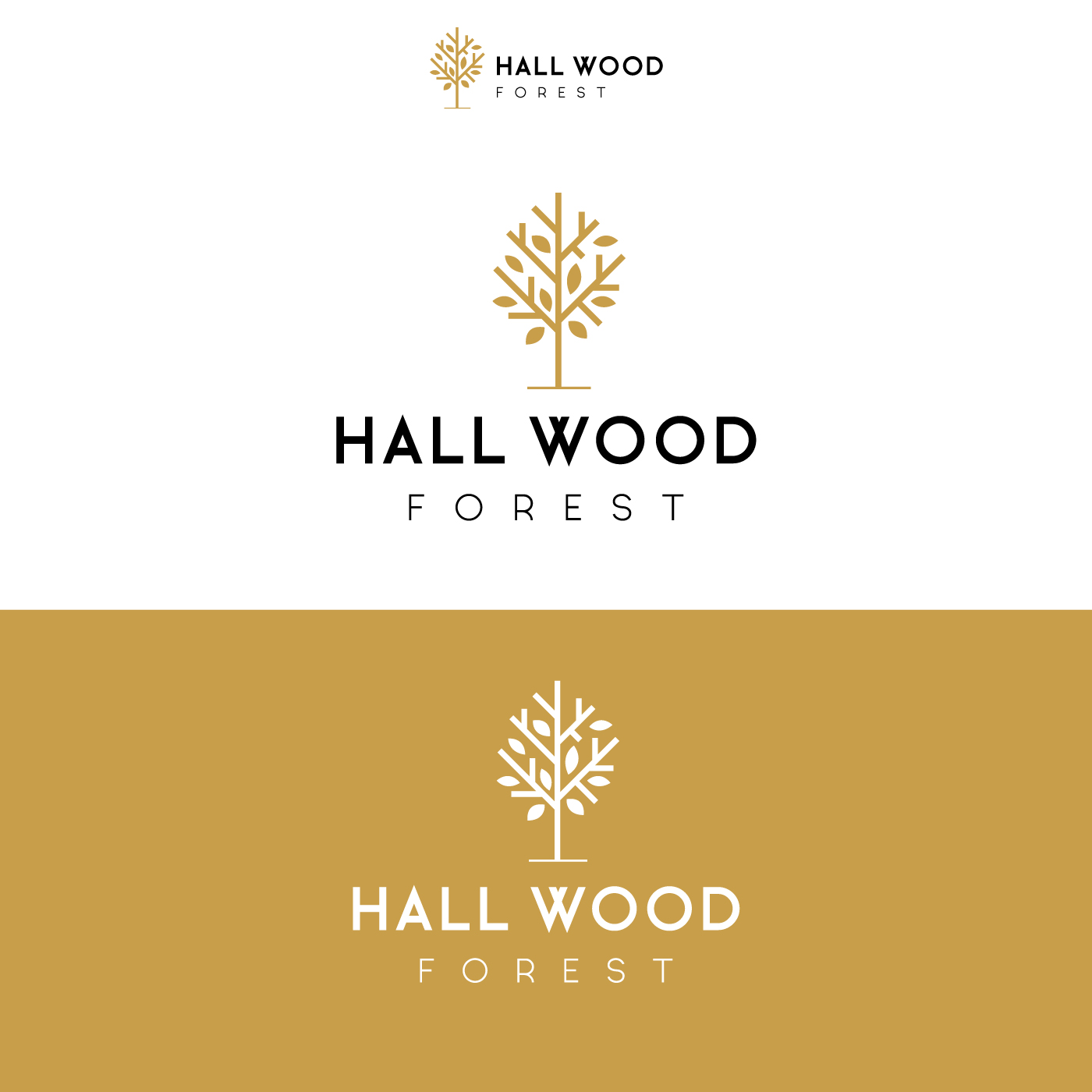 Logo Design by Pankaj Bordoloi for this project | Design #27621534