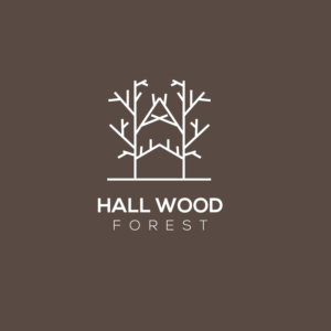 Logo Design by idesignera