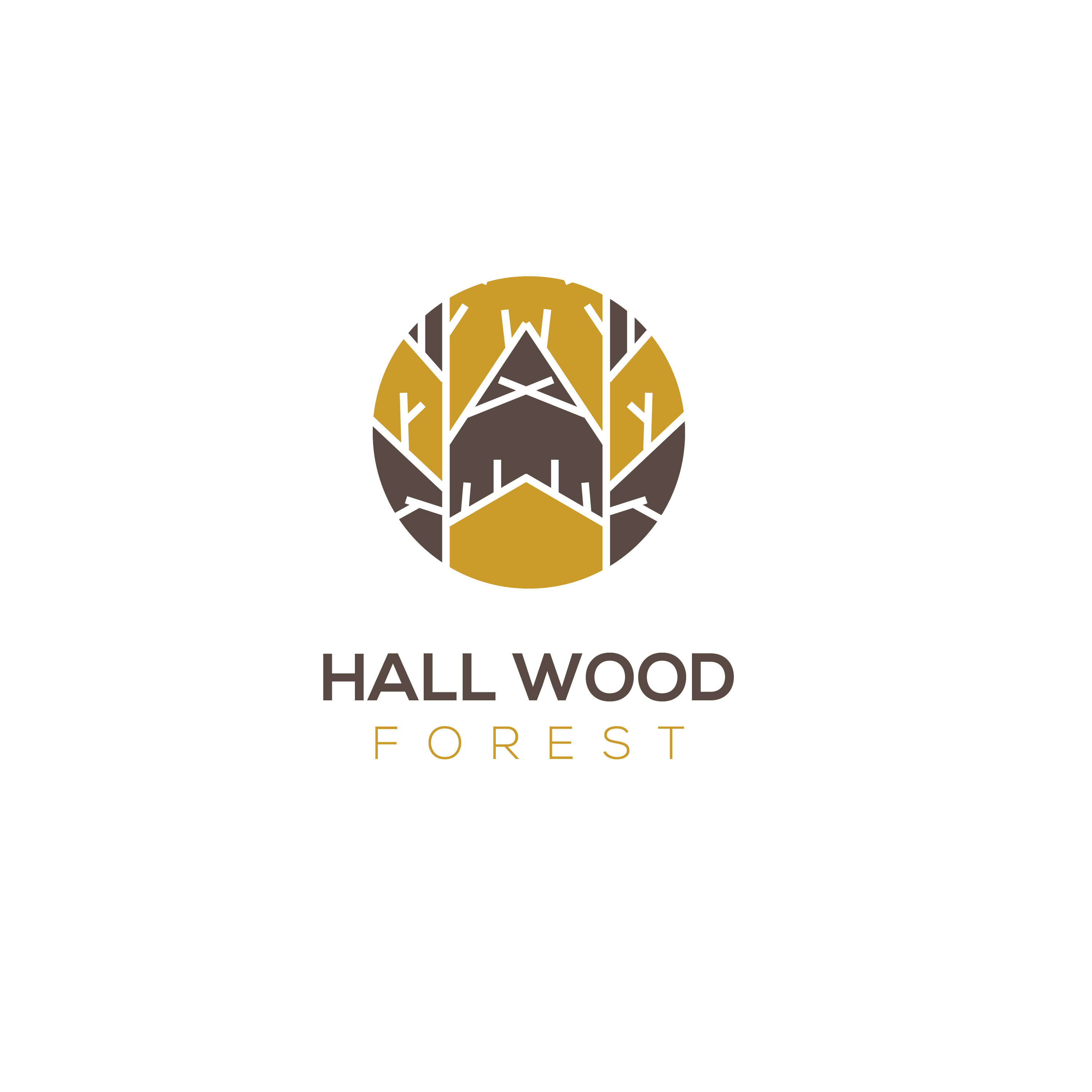 Logo Design by idesignera for this project | Design #27642719
