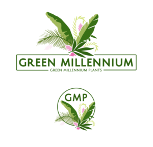 Design de Logo par Enz67 pour ce projet | Design : #27576229