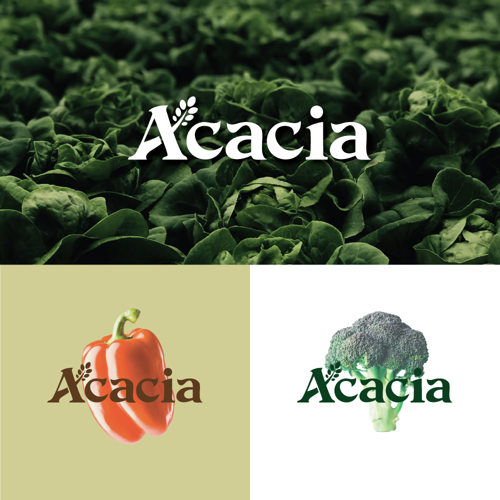 Logo Design by yudaharv for this project | Design #27649499