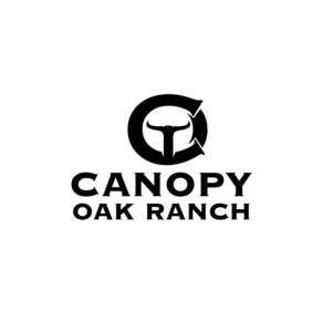 Logo Design by Dream Logo Design
