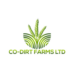 Logo Design by injamul16