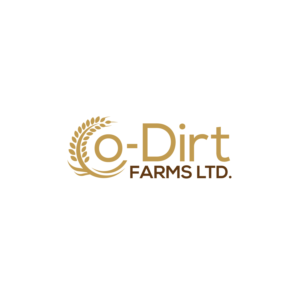 Logo Design by Dream Logo Design