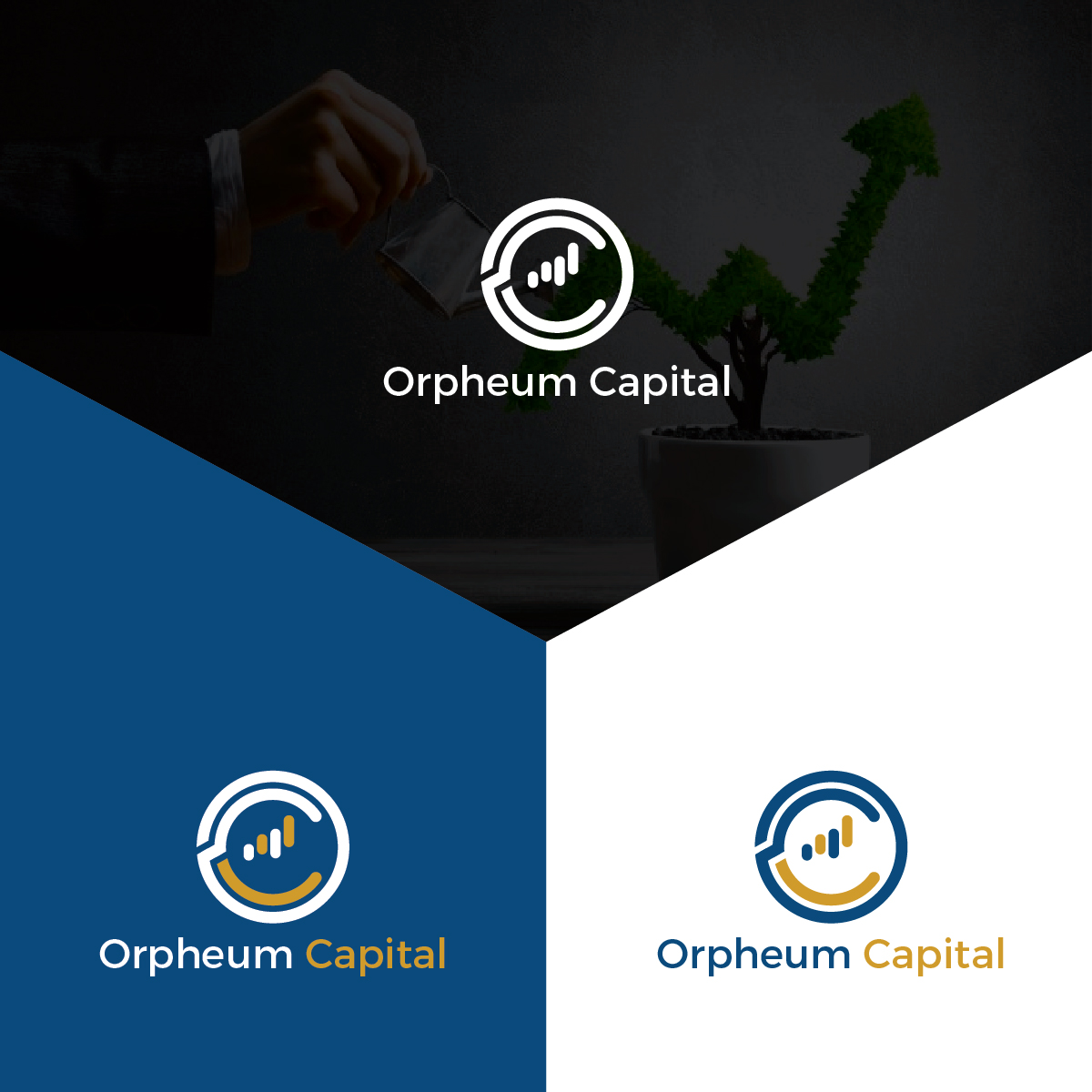 Logo Design by Deziners Zone for this project | Design #27584698