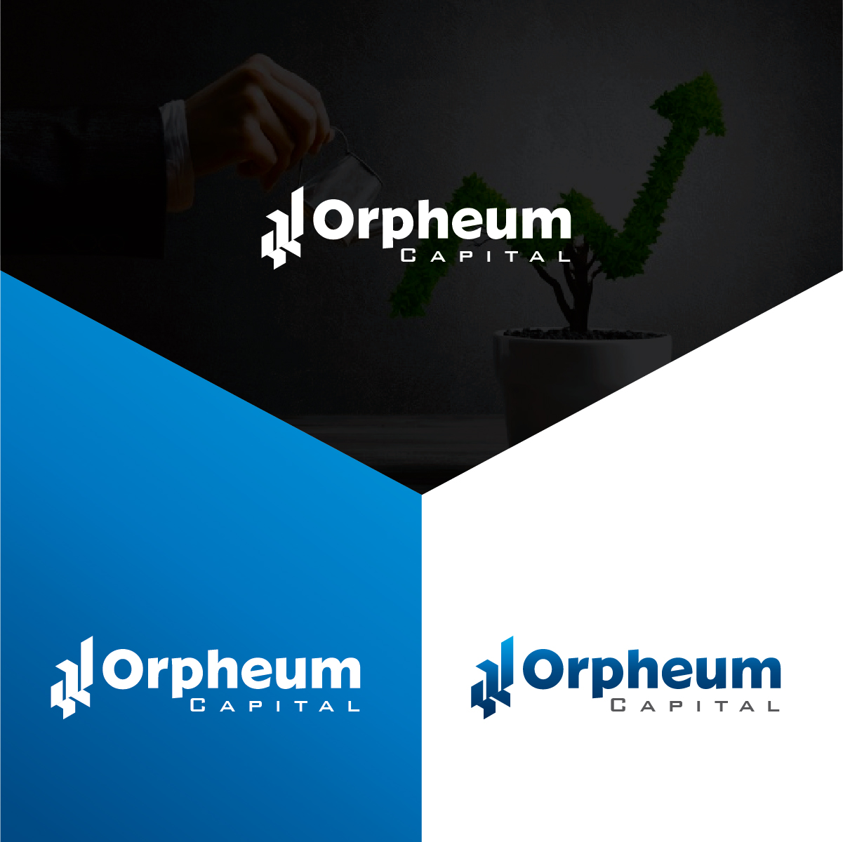 Logo Design by Deziners Zone for this project | Design #27584699