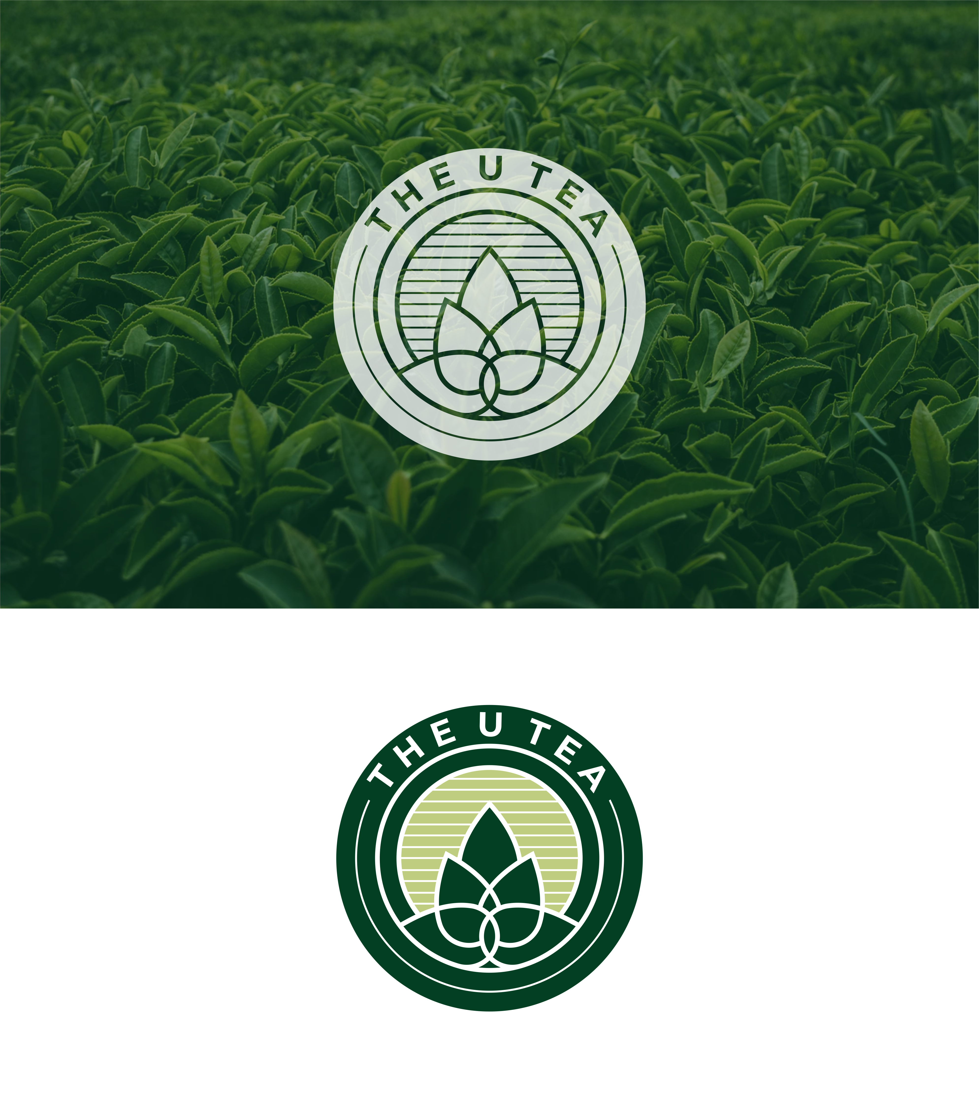 Logo Design by soriyeee for this project | Design #27623956