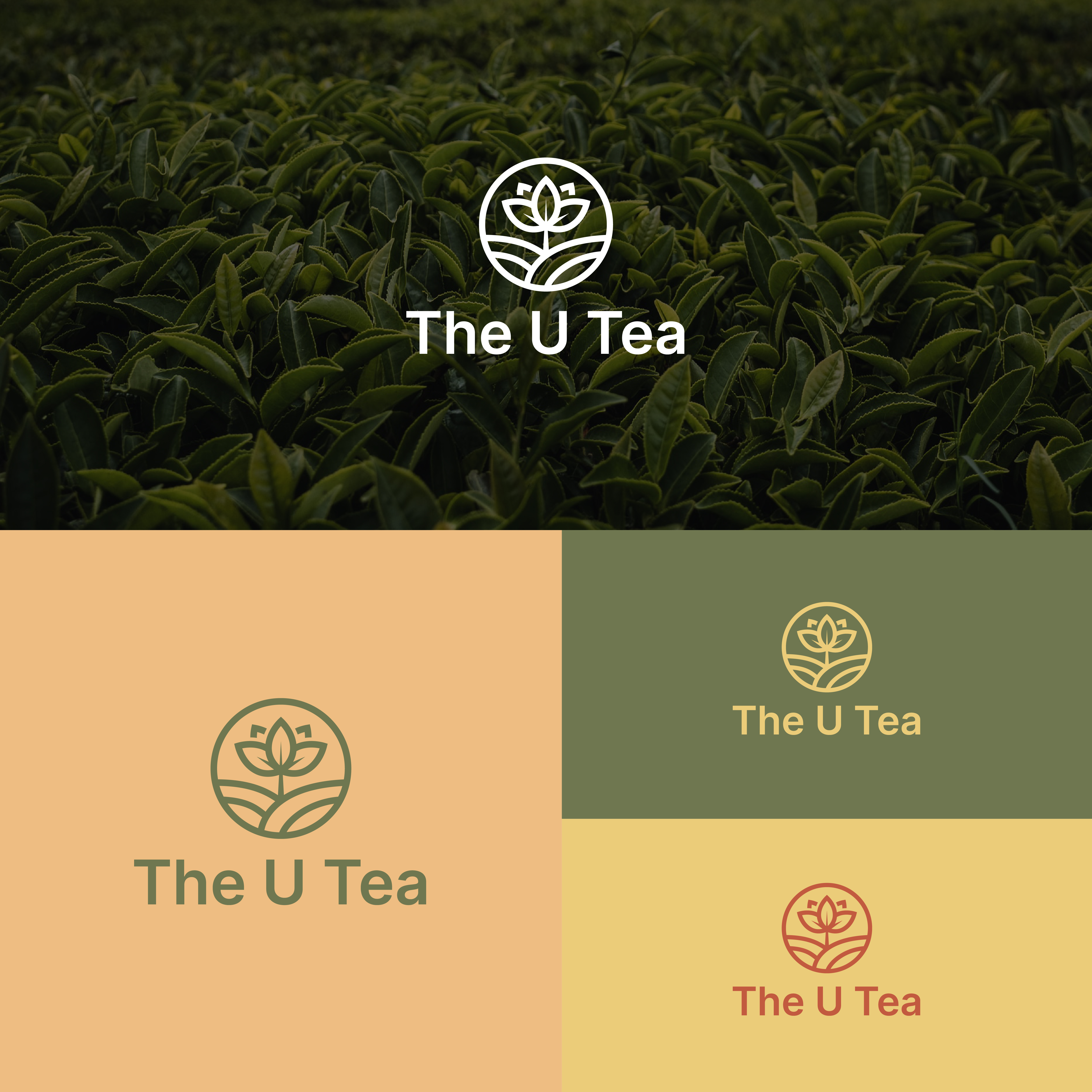Logo Design by A.R.D.P for this project | Design #27627024