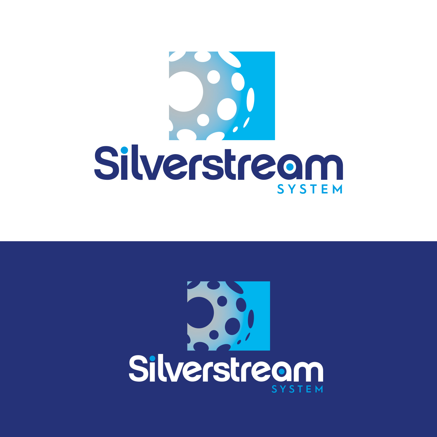 Logo-Design von Alxdesigns74 für Silverstream Systems Pty Ltd | Design #27600493