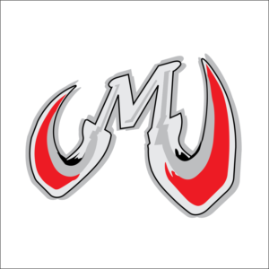 Logo Design by bokizz