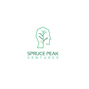 Logo Design by idesignera