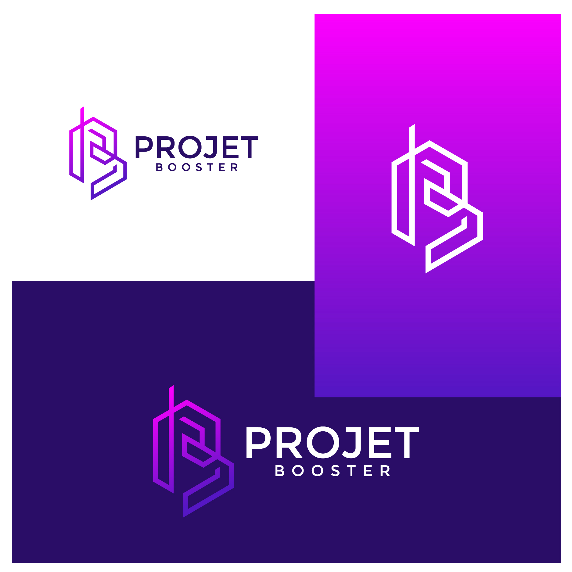 Logo Design by creative.bugs for Projet Booster | Design #27784032