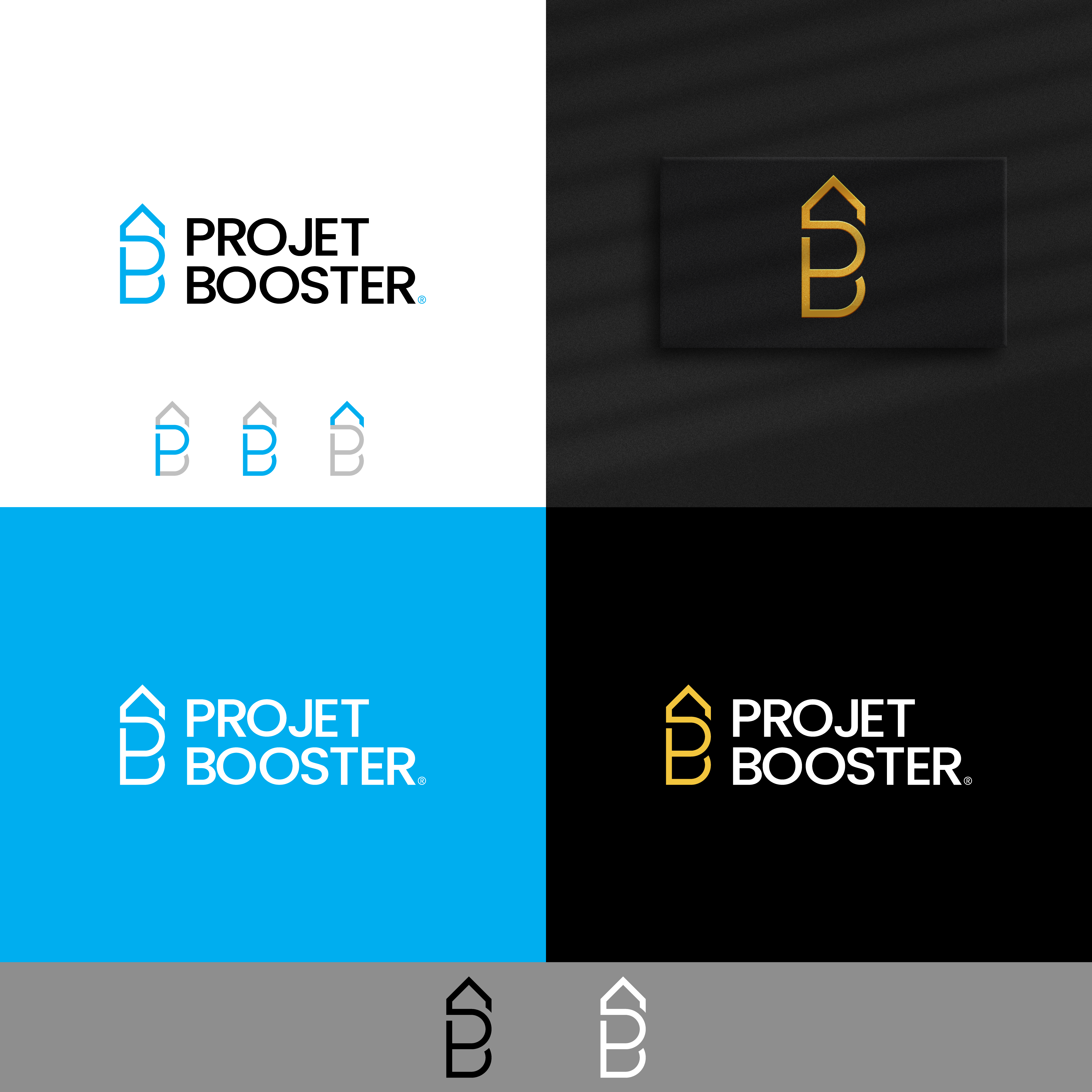 Logo Design by SHbro for Projet Booster | Design #27800048